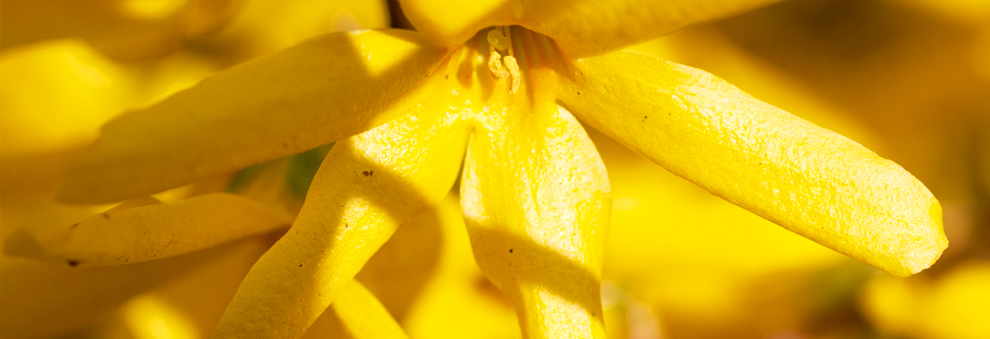 网页版短信攻击